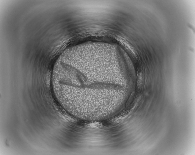 X0000094960505200712271723