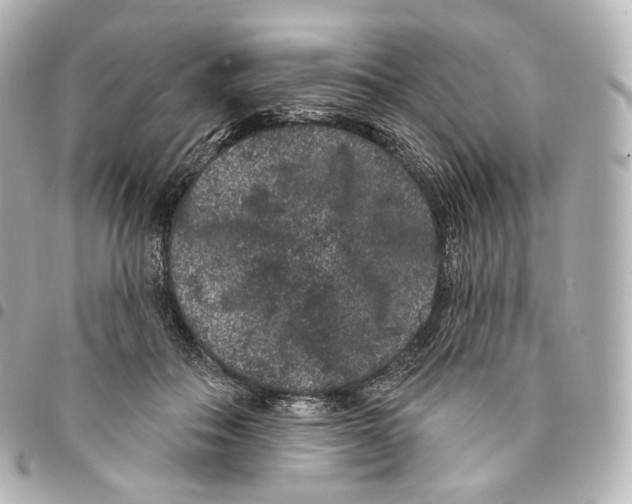 X0000094960506200712271722