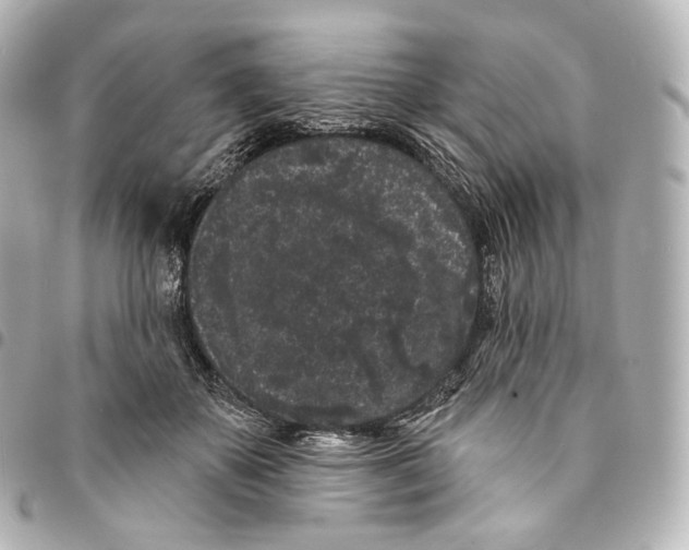 X0000094960507200712271722