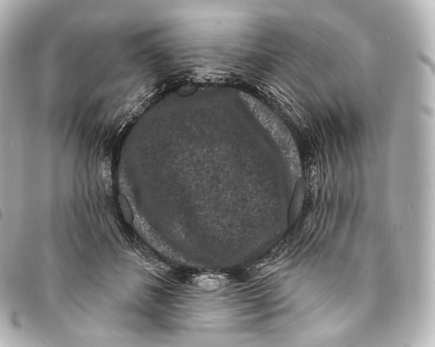 X0000094960508200712271722