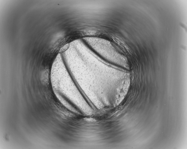 X0000094960509200712271722