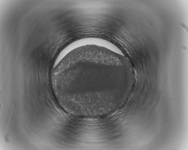 X0000094960512200712271722