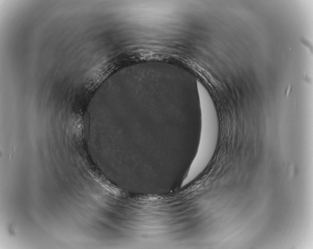 X0000094960513200712271722