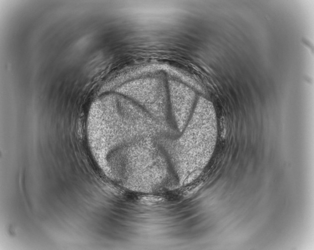 X0000094960515200712271722