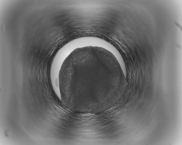 X0000094960516200712271722