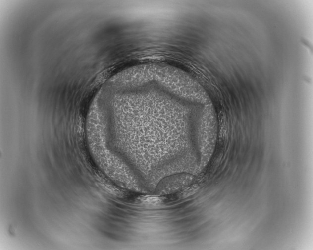 X0000094960518200712271722