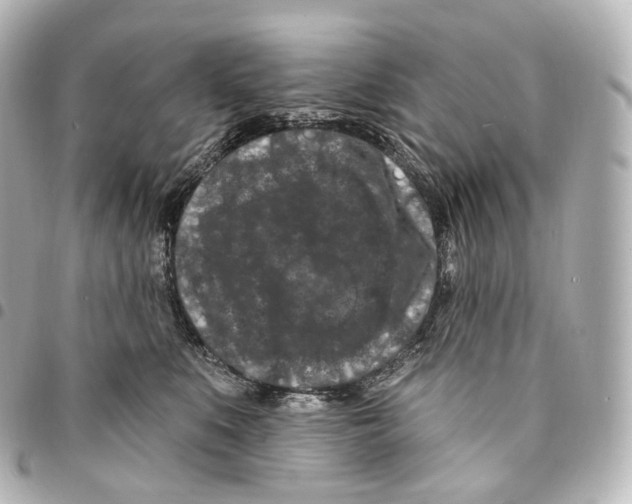 X0000094960519200712271722