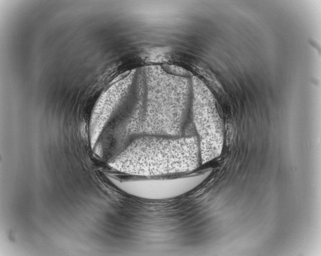 X0000094960521200712271722