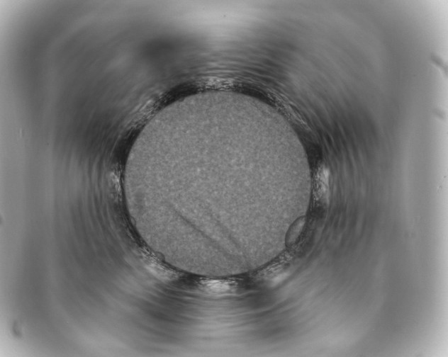 X0000094960522200712271722
