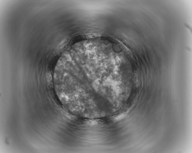 X0000094960523200712271722