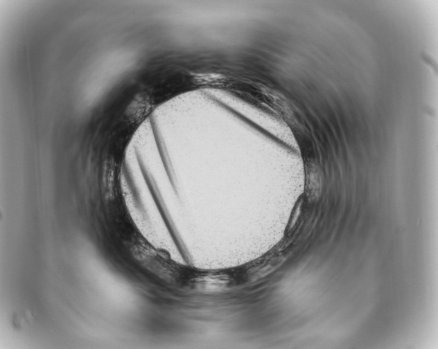 X0000094960525200712271722