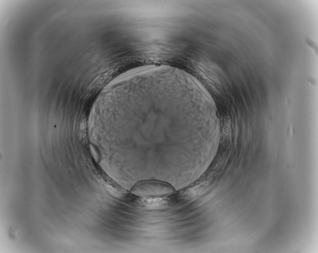 X0000094960526200712271722