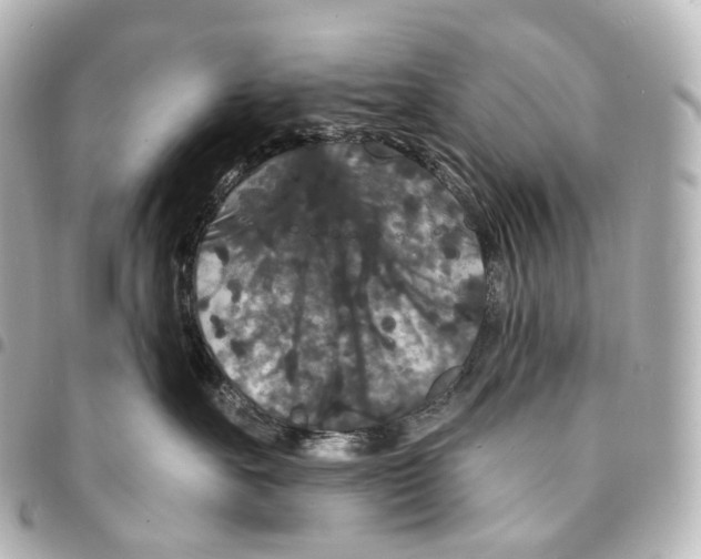 X0000094960527200712271722