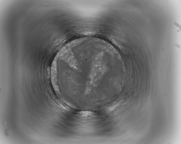 X0000094960528200712271722
