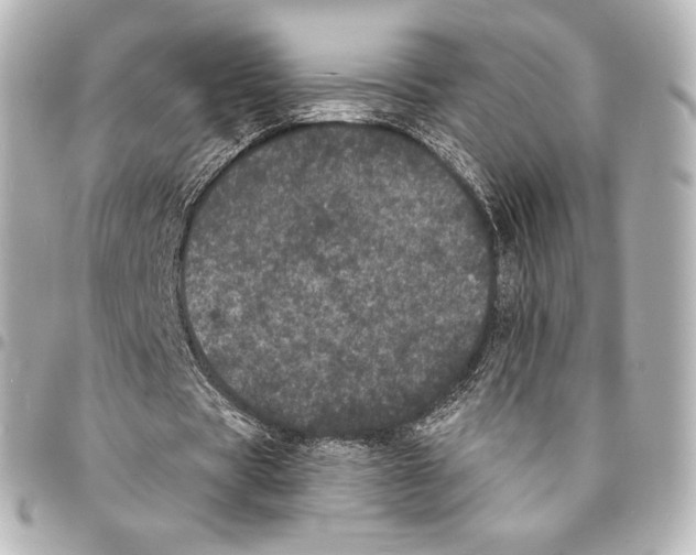 X0000094960529200712271721