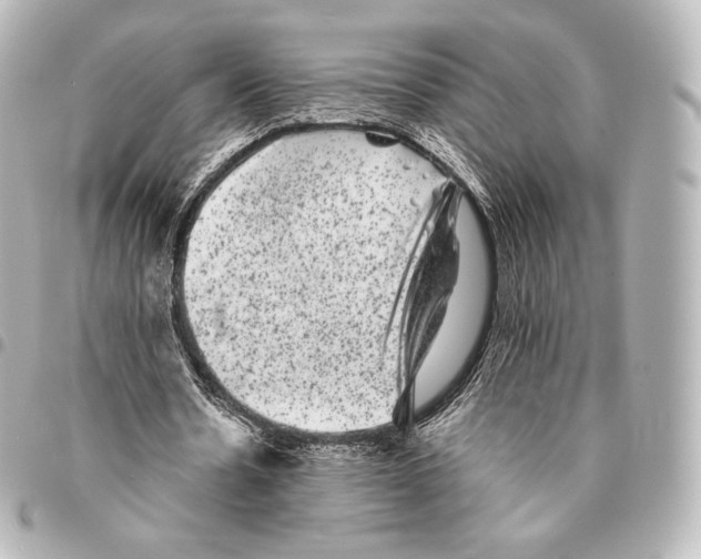 X0000094960530200712271721