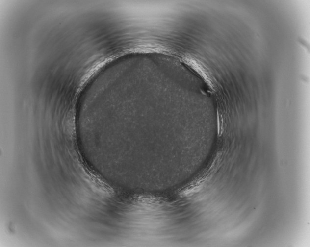 X0000094960531200712271721