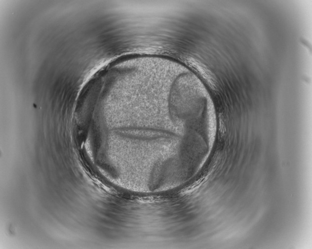 X0000094960532200712271721