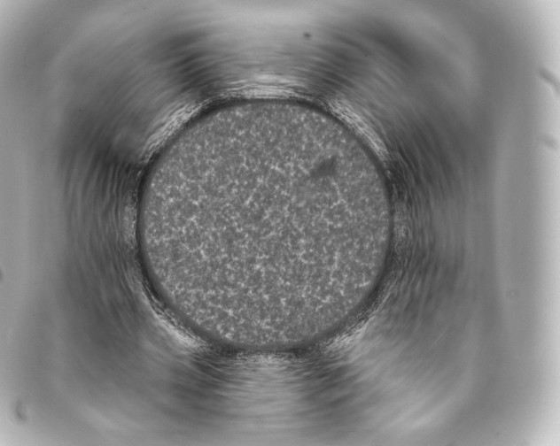 X0000094960533200712271721