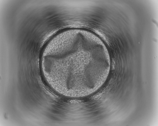 X0000094960535200712271721