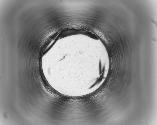 X0000094960538200712271721