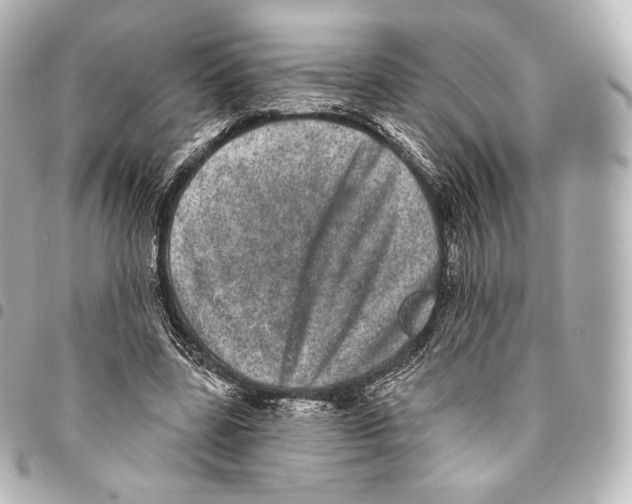 X0000094960539200712271722