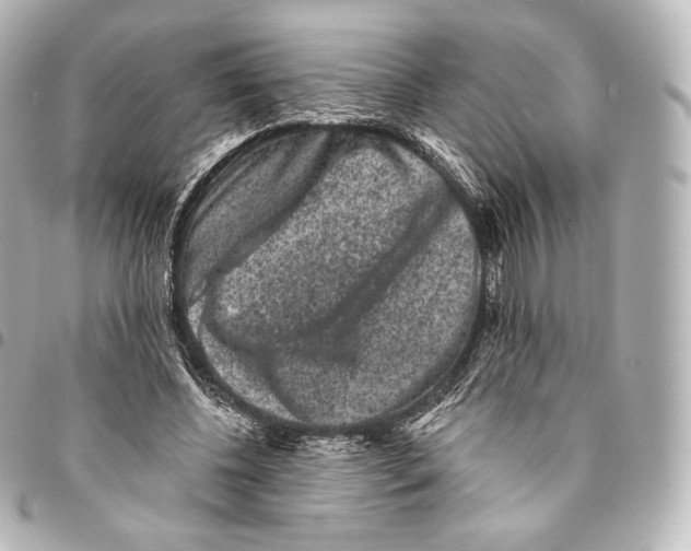 X0000094960540200712271722