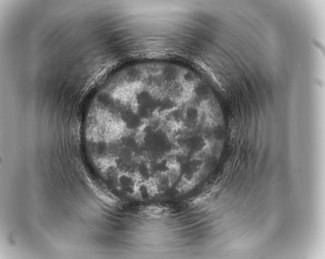 X0000094960542200712271722