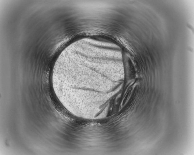 X0000094960543200712271722