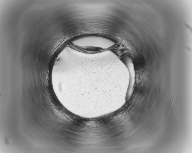 X0000094960544200712271722