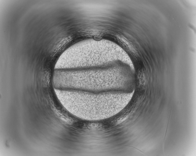 X0000094960546200712271722