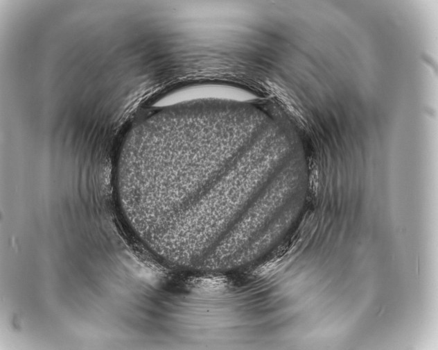 X0000094960548200712271722