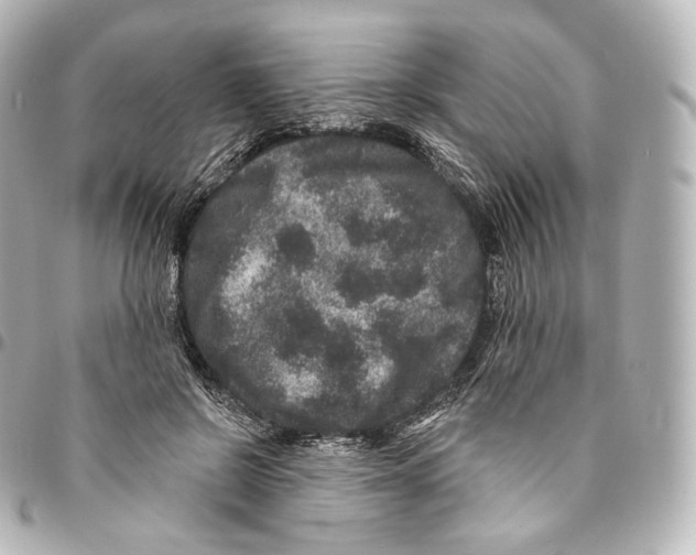 X0000094960550200712271722