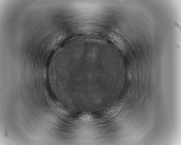 X0000094960551200712271722