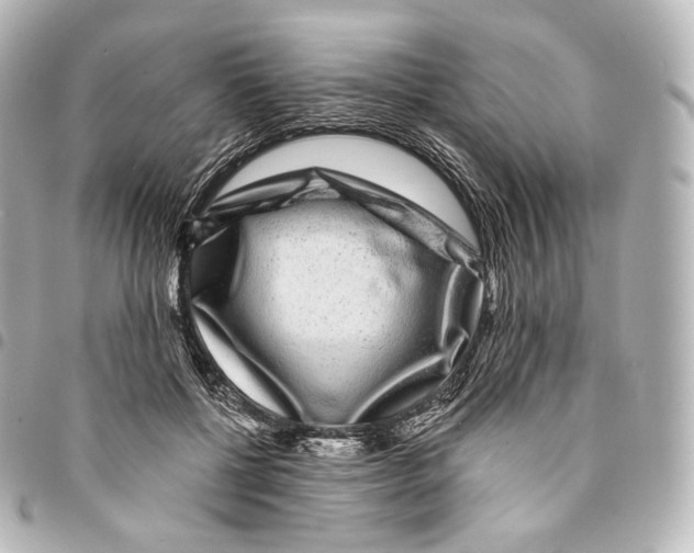 X0000094960552200712271722