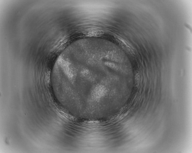 X0000094960554200712271722