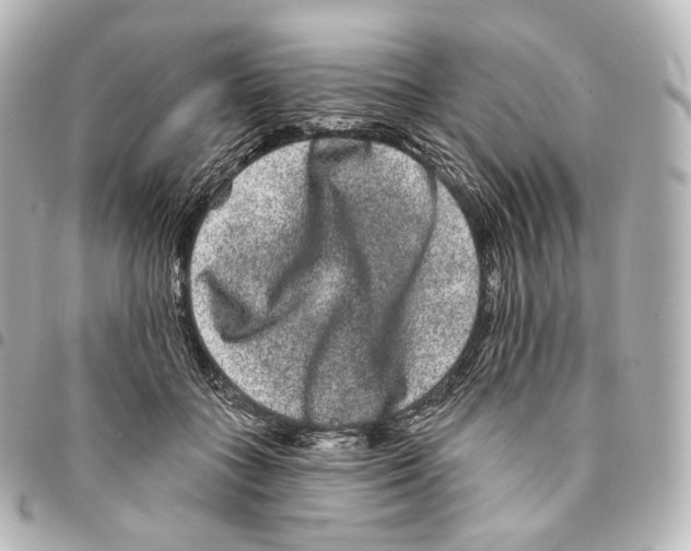 X0000094960555200712271722