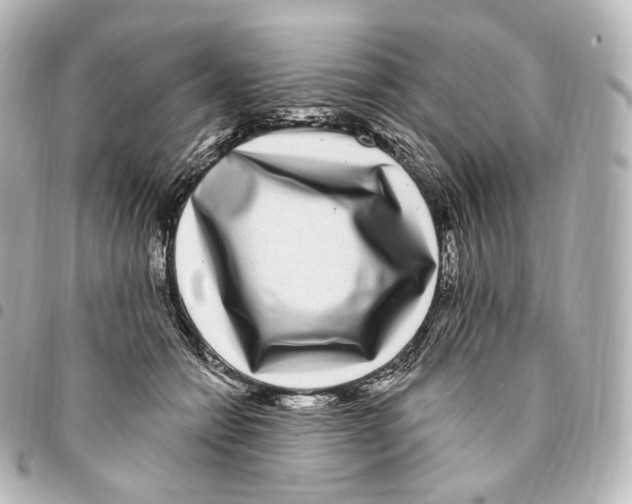 X0000094960558200712271722