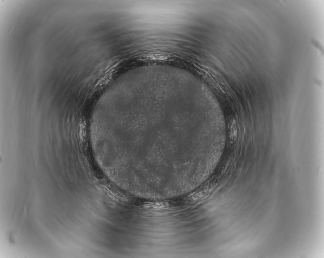 X0000094960559200712271722