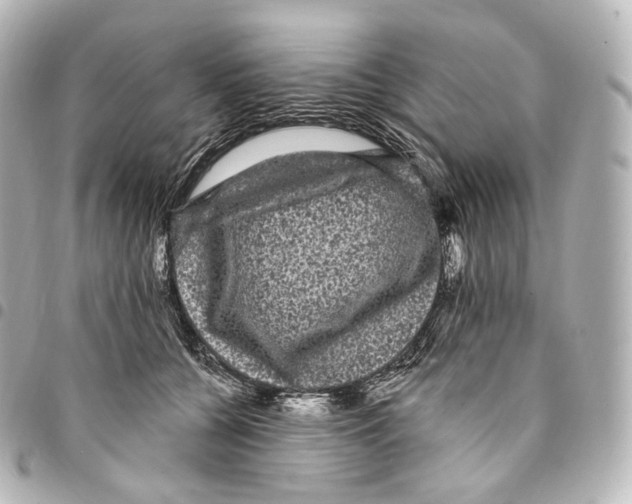 X0000094960560200712271722