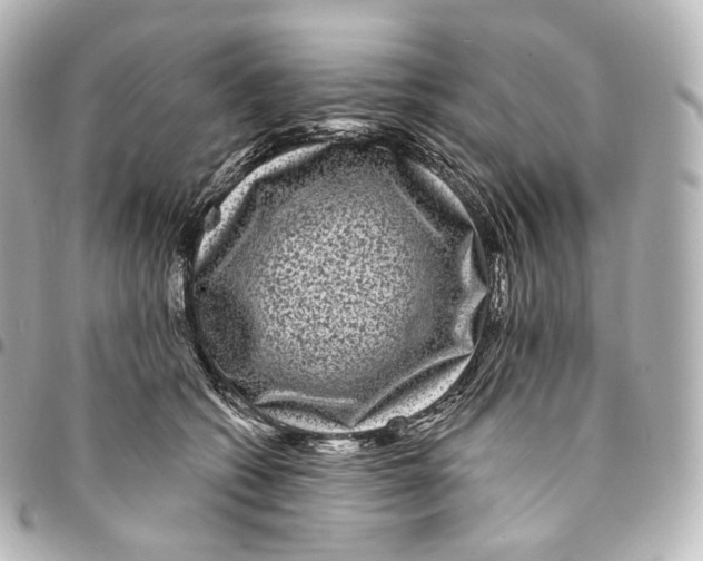 X0000094960562200712271722