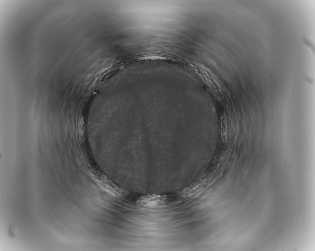X0000094960563200712271722