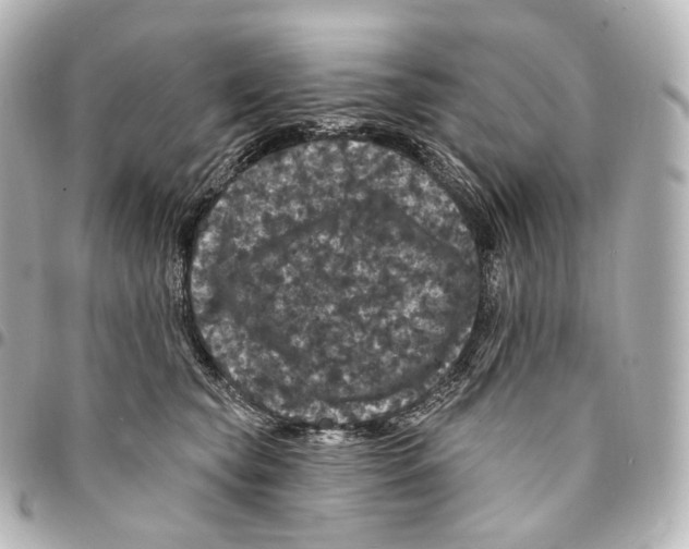 X0000094960565200712271722
