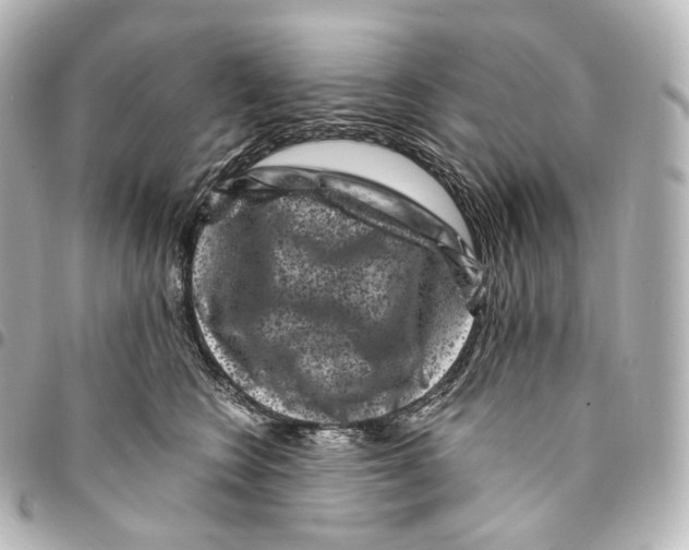 X0000094960566200712271722