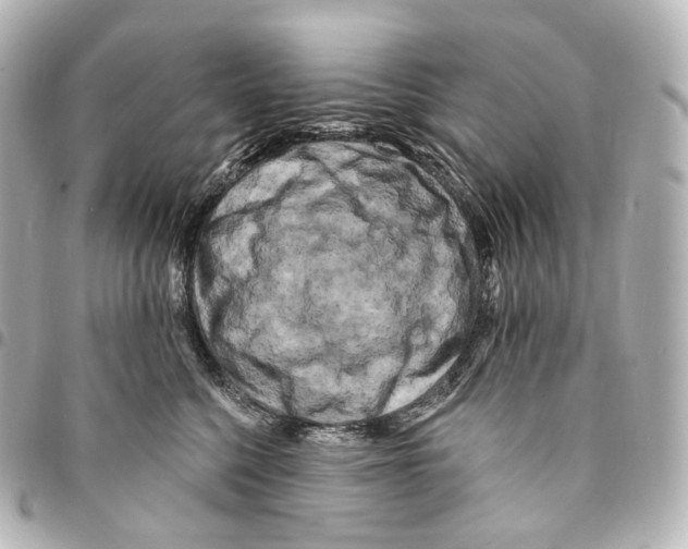 X0000094960568200712271722
