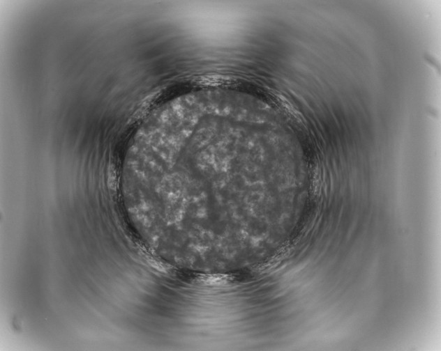 X0000094960569200712271722