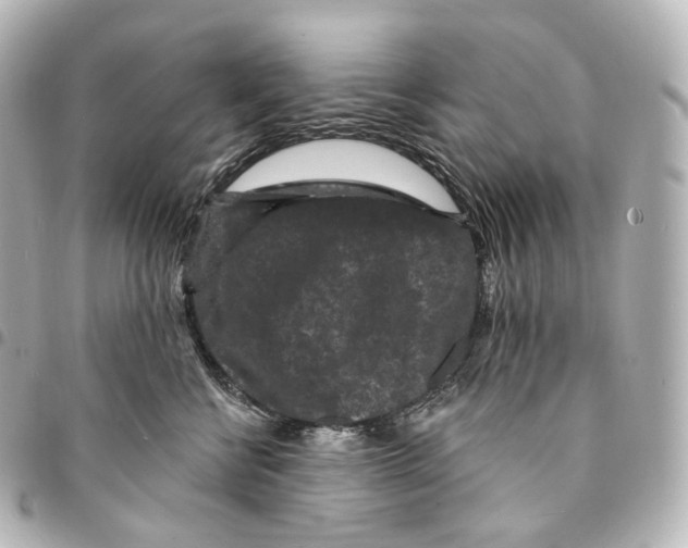 X0000094960570200712271722