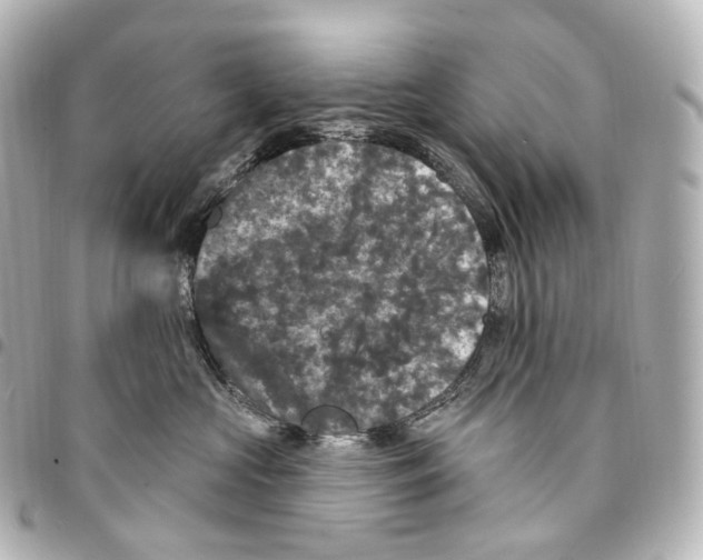 X0000094960573200712271722
