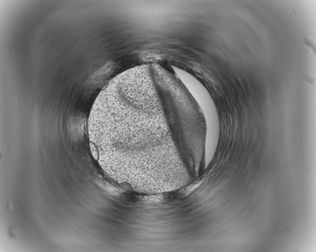 X0000094960574200712271722