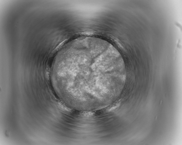 X0000094960576200712271722